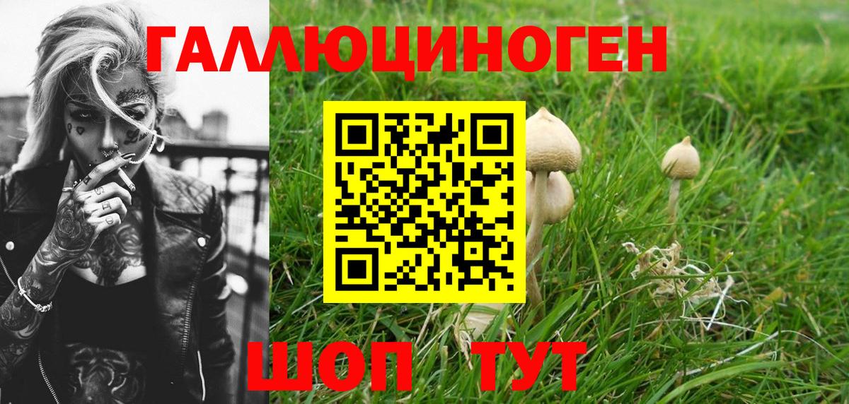 Галлюциногенные грибы мухоморы Звенигород